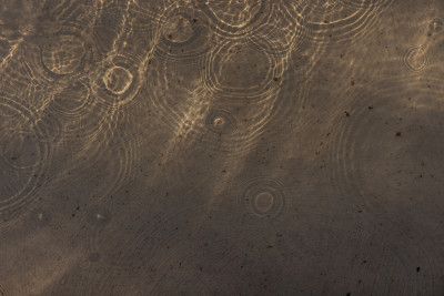 Shimmering Water Circles