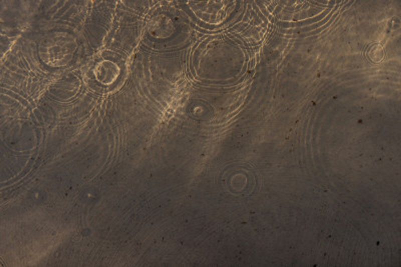 Shimmering Water Circles