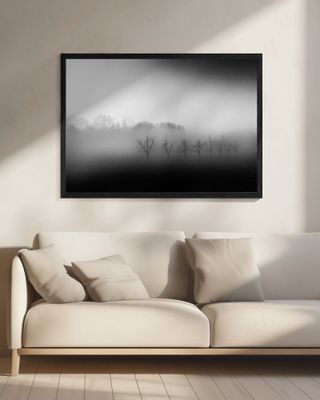 Eight trees in the mist