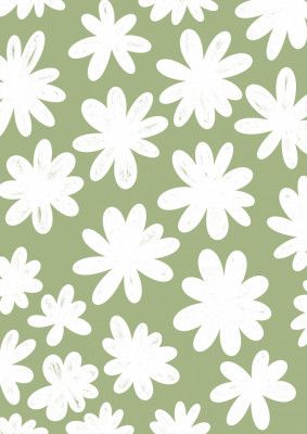 Marguerite Flowers on Green