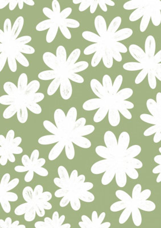 Marguerite Flowers on Green