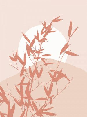 Bamboo Silhouette Sunrise