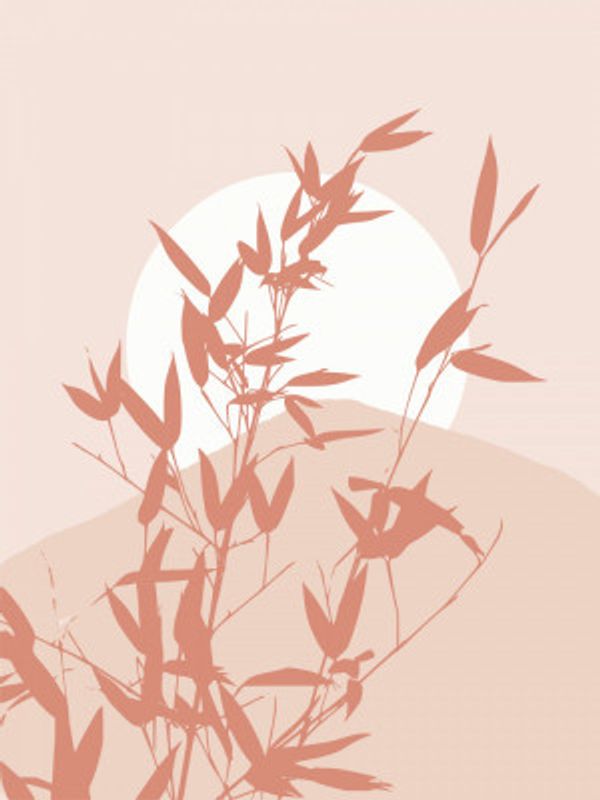 Bamboo Silhouette Sunrise