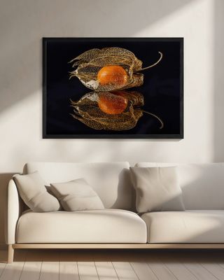 Physalis