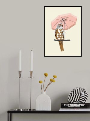 budgie on vacation cream white 1