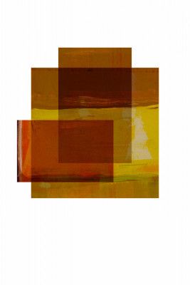 Golden Hour Transparencies 4