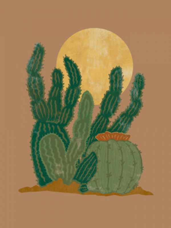 Modern Americana Cactus
