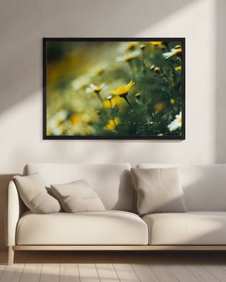 Vibrant Floral Summer Flowers