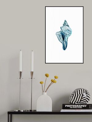 Blue Seashell On White Background No4