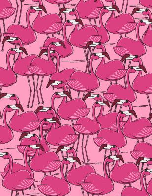Flamingos