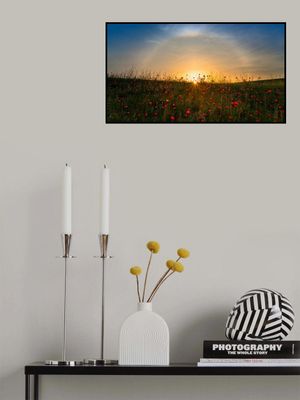 Red poppies and sunrise