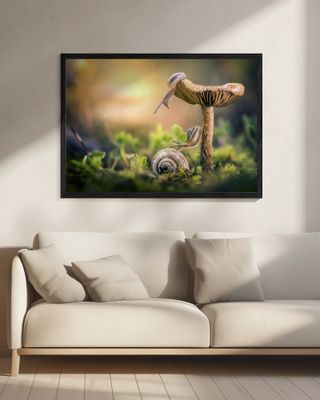 The awakening of snails