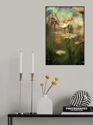 Flowers on the Seiseralm