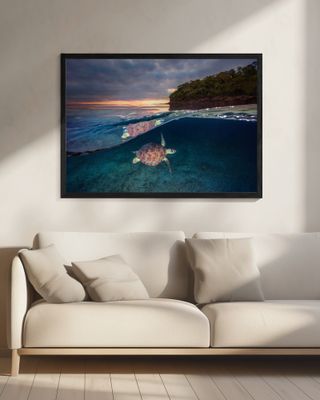 Green turtle with sunset