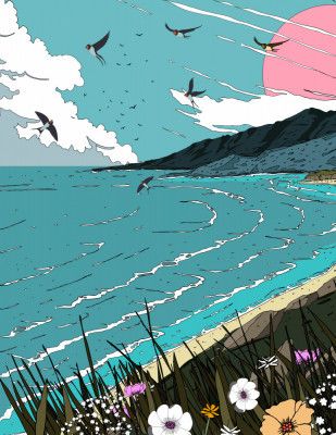 Natures Costal Meadow