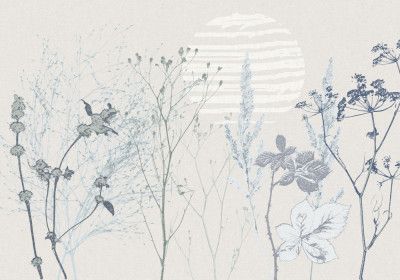 Plant based calming atmosphere soft blue