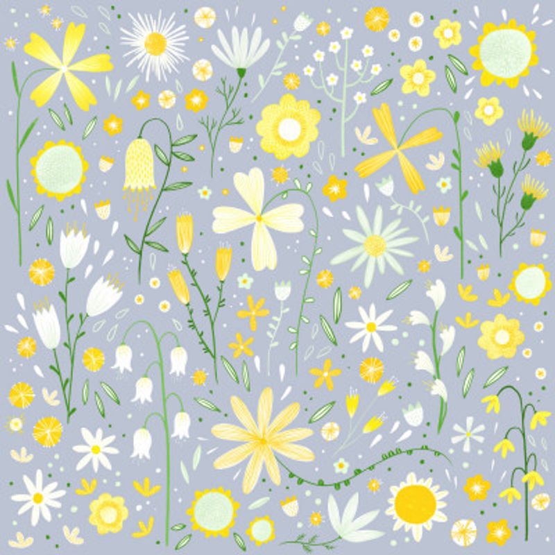 Fresh Flowers Yellow On Dusty Blue