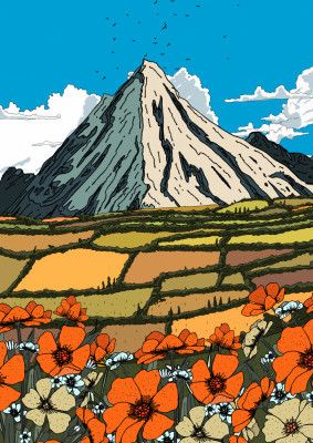 Poppy View Mountains