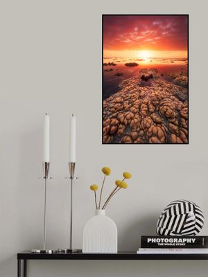 Low tide on the lagoon of Saint Leu.