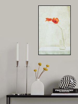 Two Poppies in a Bottle