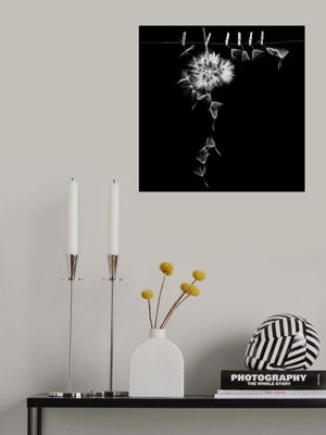 Waiting for the summer