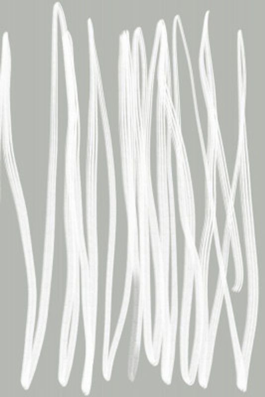 White Linear Strokes
