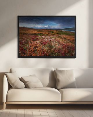 Denali in Fall color at sunrise, captuerd near Wonder Lake Camping Ground