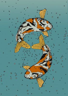 Two koi Fish Swimming in Water