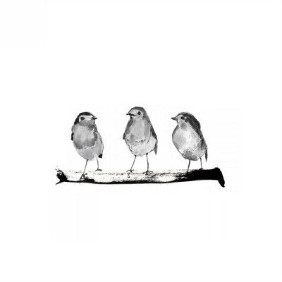 Robins   Three On a Branch 20x20 Bw