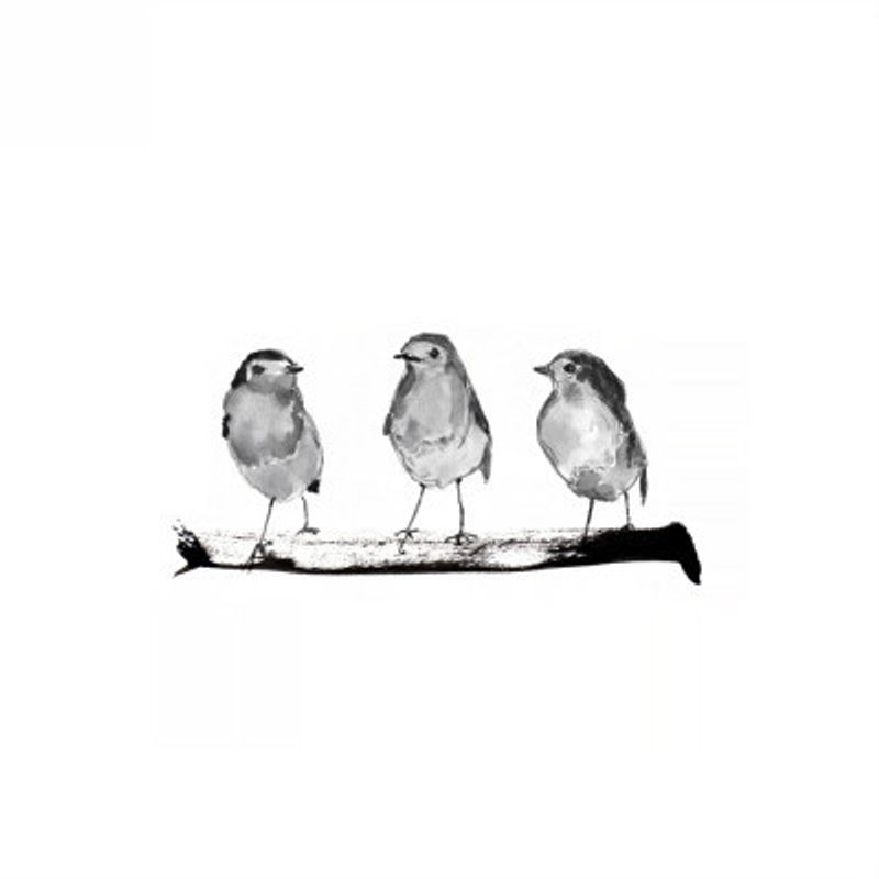 Robins   Three On a Branch 20x20 Bw