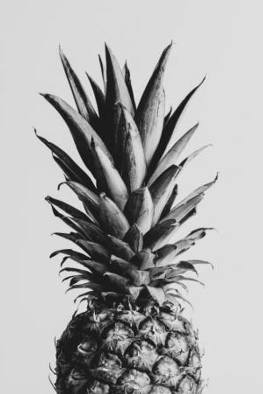 Pineapple Black &amp; White 02
