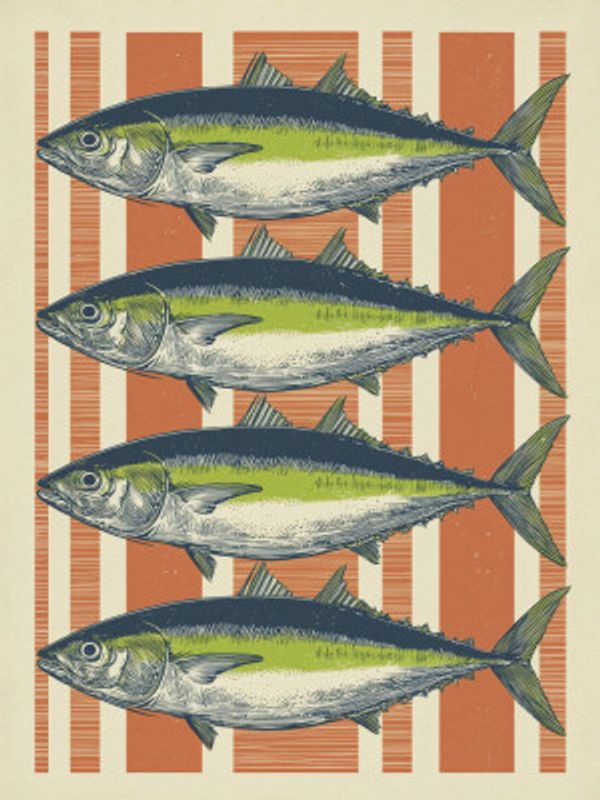 Four Fishes