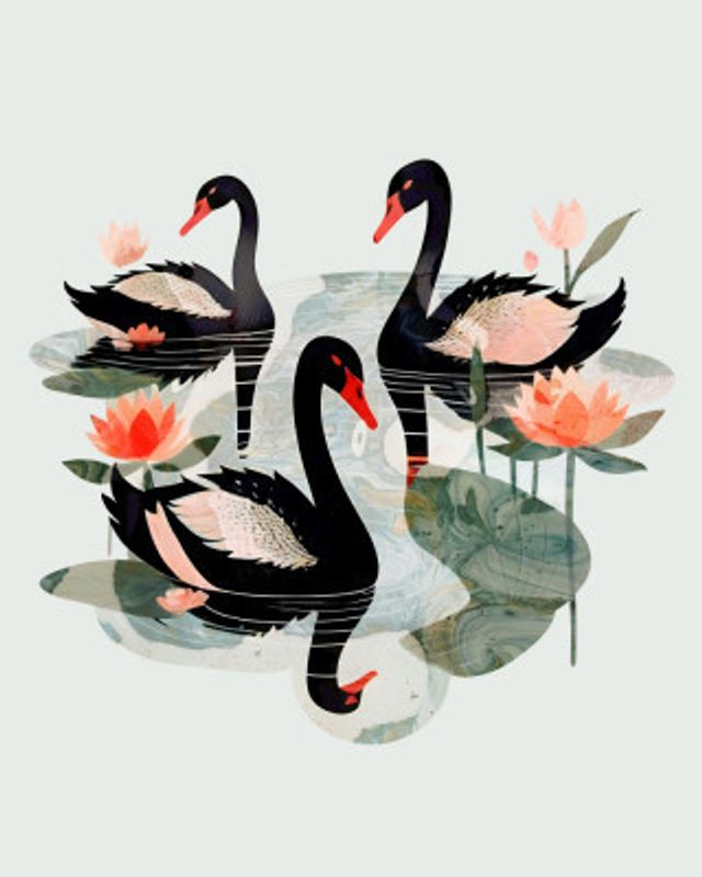 Black Swans