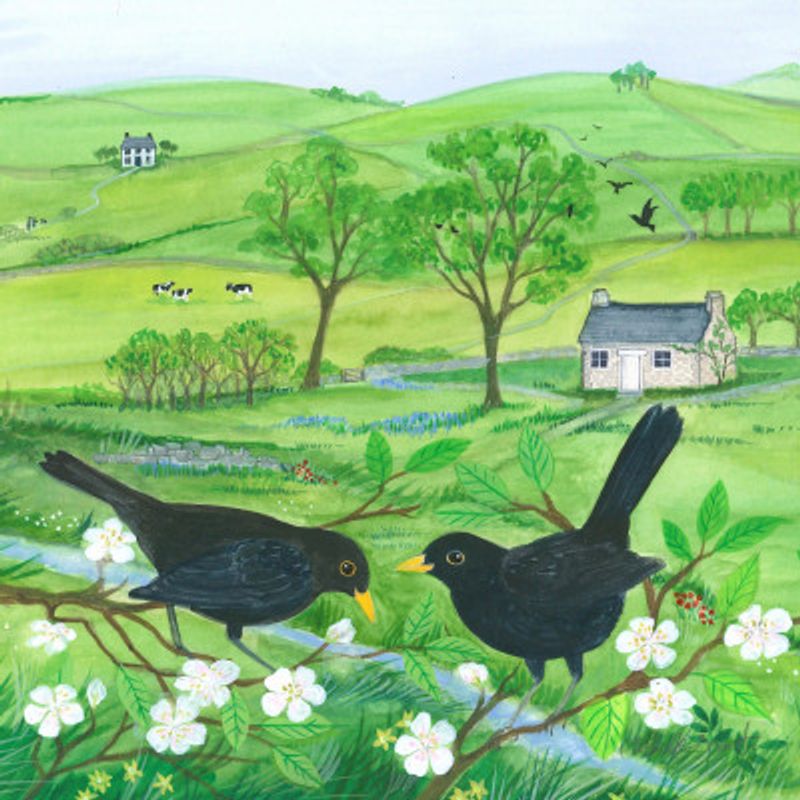 Blackbirds and Blossom