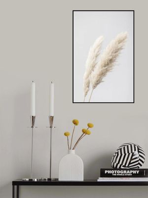 Pampas Grass Grey 13