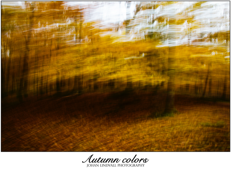 Autumn colours - By Johan Lindvall