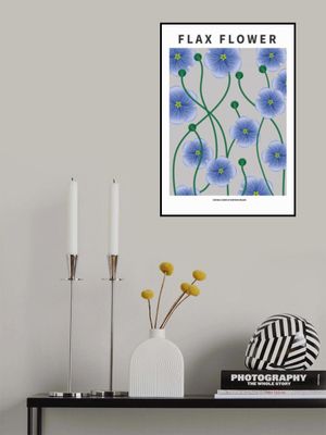 Flax flower - National flower of Ireland