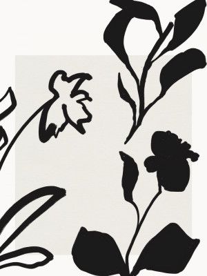 Monochrome Blooms