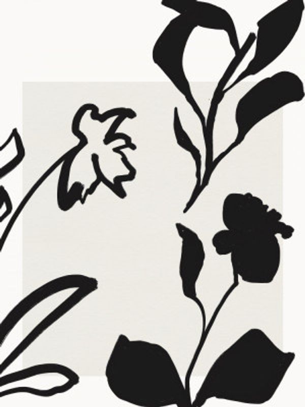 Monochrome Blooms