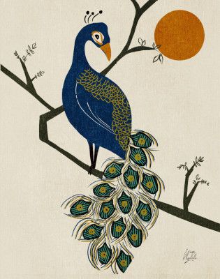 Elegant Peacock Sun