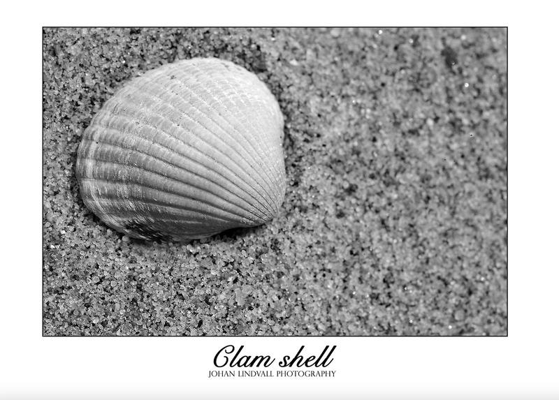 Clam shell - Johan Lindvall