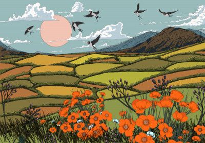 Beautiful Summer Landscape