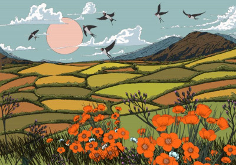 Beautiful Summer Landscape