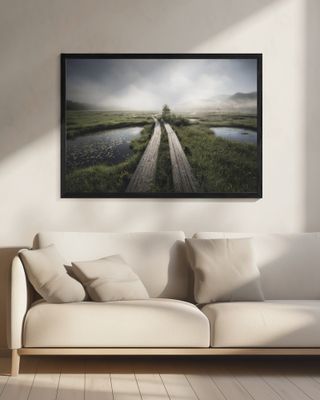 Into the foggy world