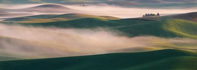 Dream Land in Morning Mist-2