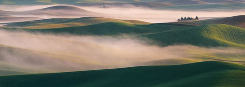 Dream Land in Morning Mist-2