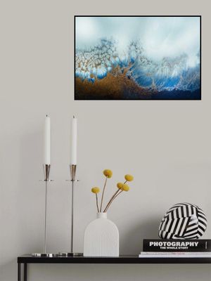 Coastal Luxe - Sunrise Reef