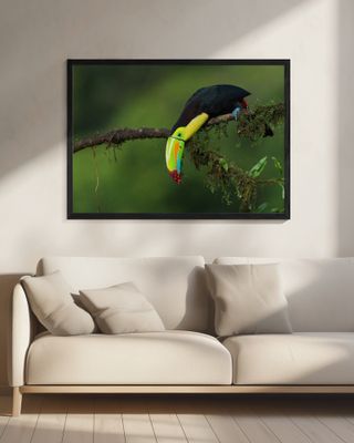 The colors of Costa Rica