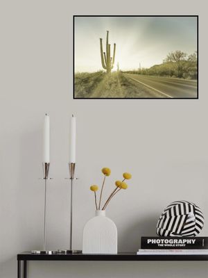 SAGUARO NATIONAL PARK Setting Sun | Vintage