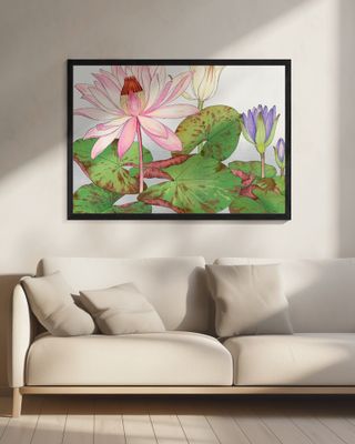 Nymphaea Lotus No.2
